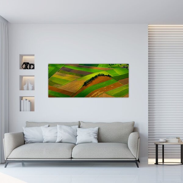 Kép - Mezők, rétek (120x50 cm)