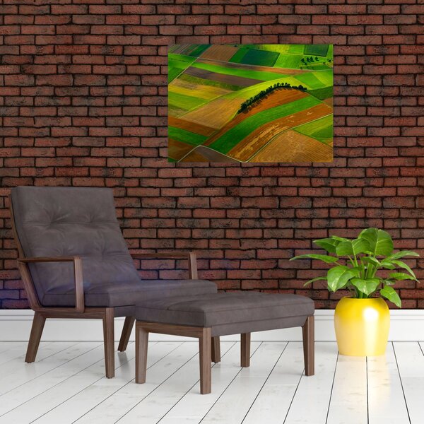 Kép - Mezők, rétek (70x50 cm)