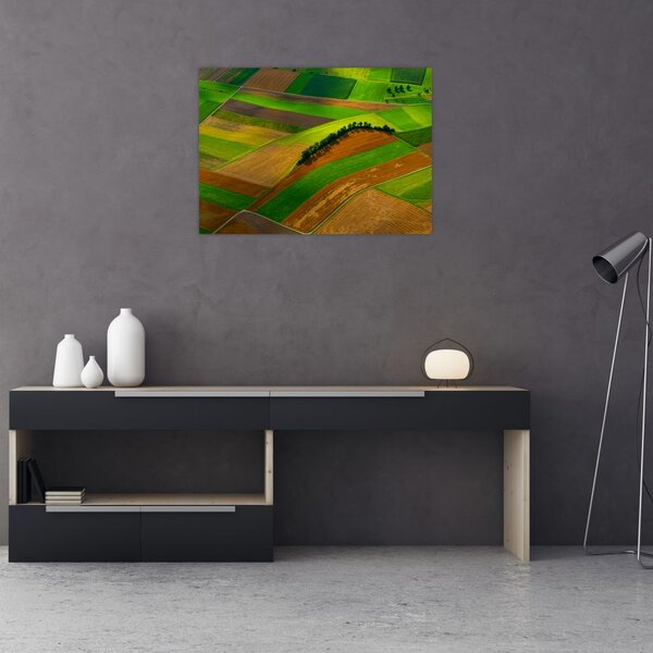 Kép - Mezők, rétek (70x50 cm)