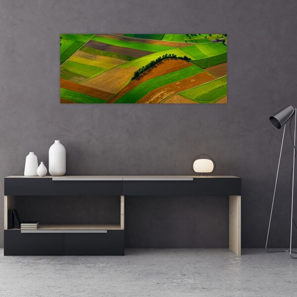 Kép - Mezők, rétek (120x50 cm)