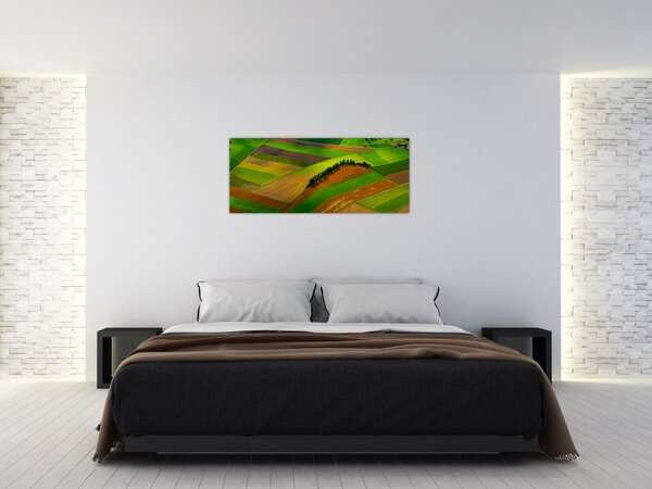 Kép - Mezők, rétek (120x50 cm)
