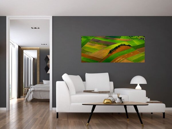 Kép - Mezők, rétek (120x50 cm)