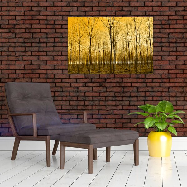 Kép - Faültetvény (90x60 cm)
