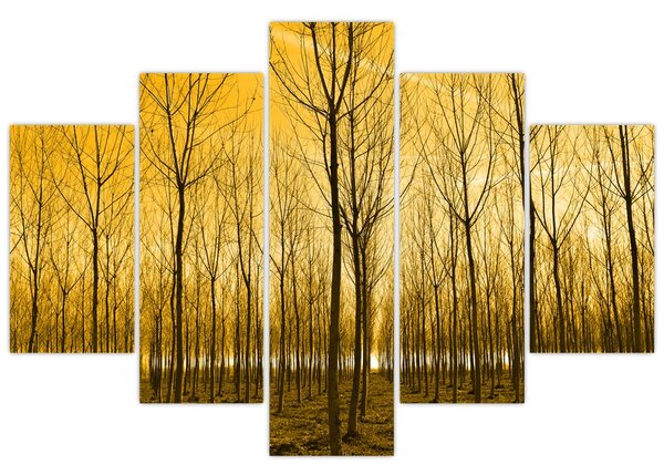 Kép - Faültetvény (150x105 cm)