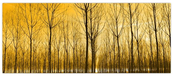 Kép - Faültetvény (120x50 cm)