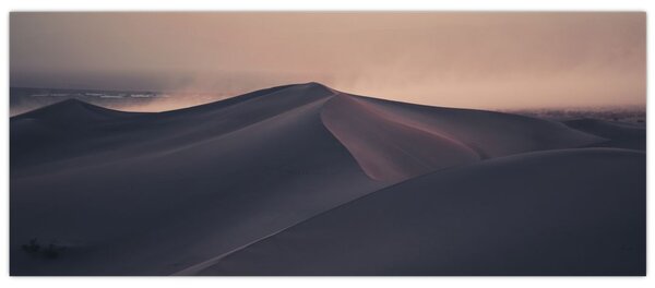 Kép - Homokdűnék (120x50 cm)
