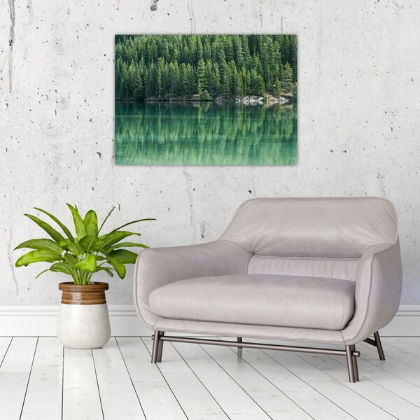 Kép - Tűlevelű a tónál (70x50 cm)