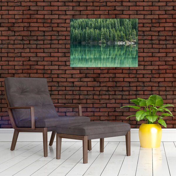 Kép - Tűlevelű a tónál (70x50 cm)