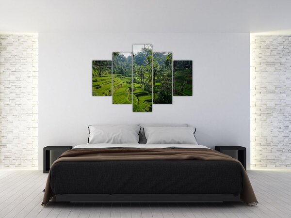 Kép a rizs teraszokról, Tegalalang, Bal (150x105 cm)