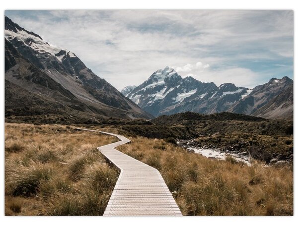 Kép - Sétány a hegységben Mt. Cook (70x50 cm)