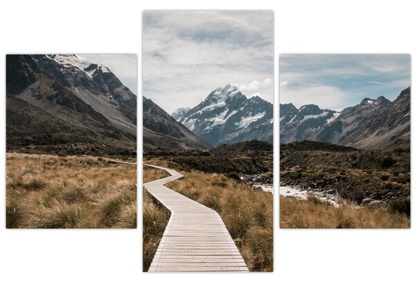 Kép - Sétány a hegységben Mt. Cook (90x60 cm)