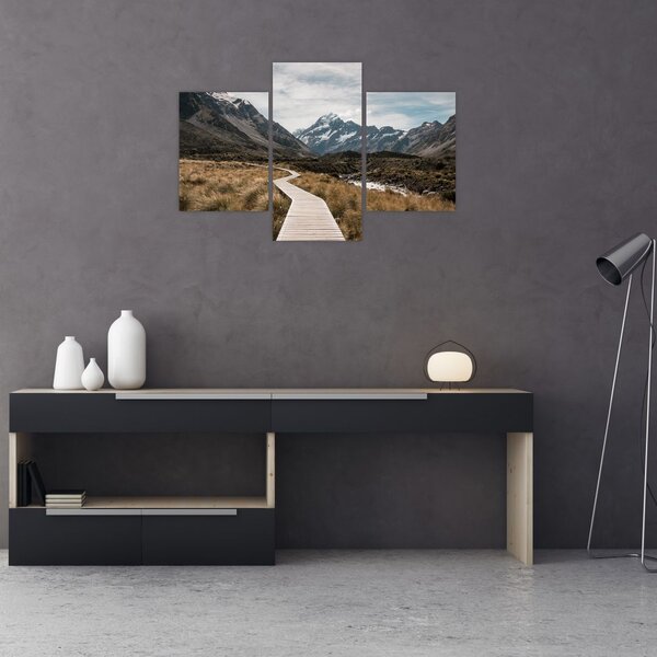 Kép - Sétány a hegységben Mt. Cook (90x60 cm)