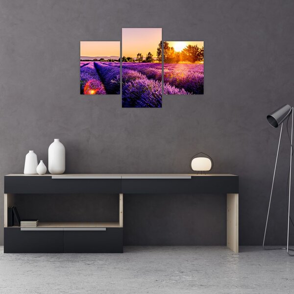 A levendula mező képe, Provence (90x60 cm)