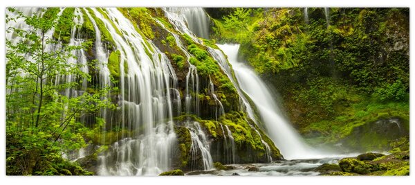 Kép - Vízesés, Wind River Valley (120x50 cm)