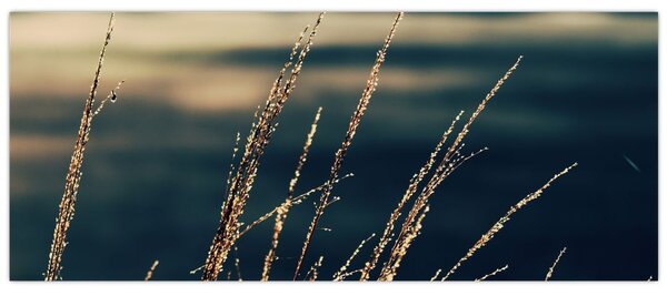 A füvek képe (120x50 cm)