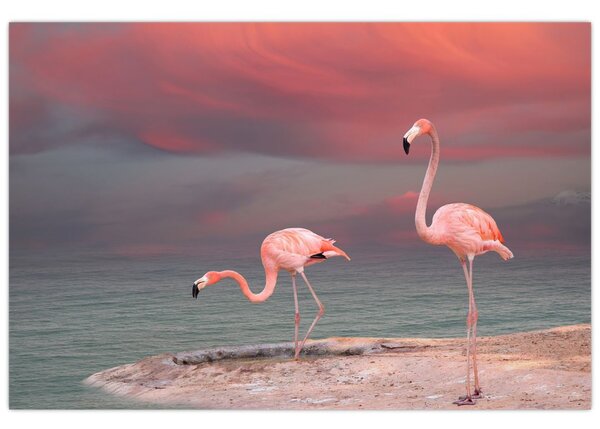 Flamingók képe (90x60 cm)