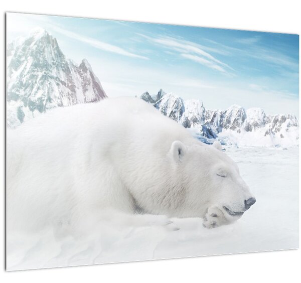 Kép - Jegesmedve (70x50 cm)