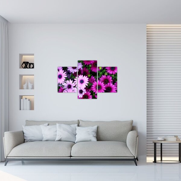 Kép - Virágok (90x60 cm)