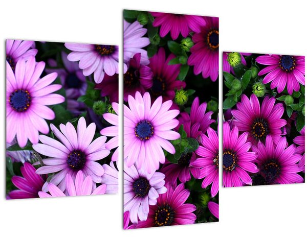 Kép - Virágok (90x60 cm)