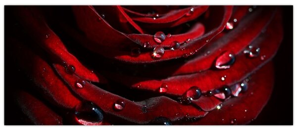 Kép - Rózsa részlete (120x50 cm)