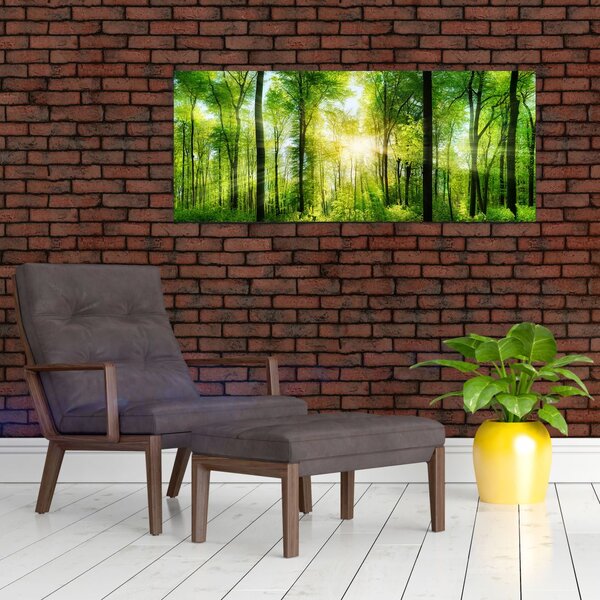 Kép - Hajnal az erdőben (120x50 cm)