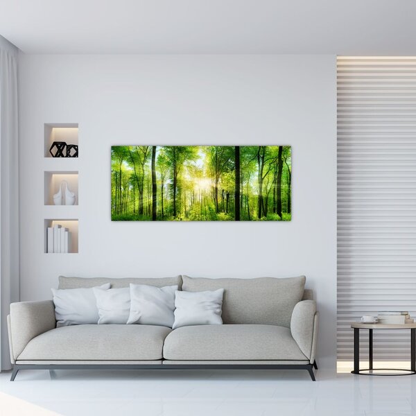 Kép - Hajnal az erdőben (120x50 cm)