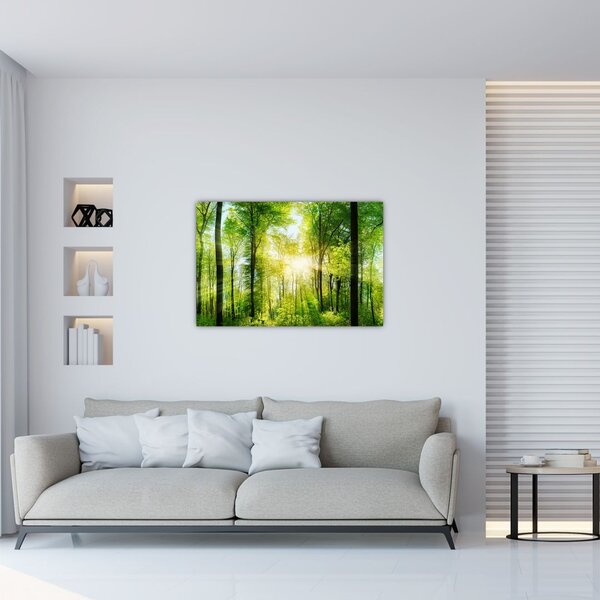 Kép - Hajnal az erdőben (90x60 cm)