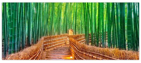 Kép - Japán bambusz erdő (120x50 cm)