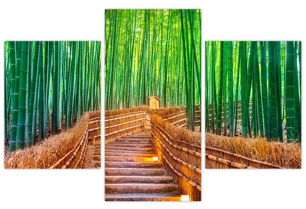 Kép - Japán bambusz erdő (90x60 cm)