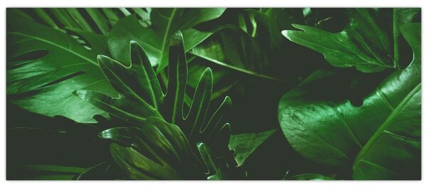 Kép - Pálmalevél (120x50 cm)