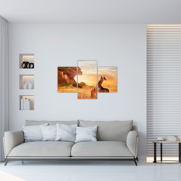 Kép - Zsiráfok Afrikában (90x60 cm)