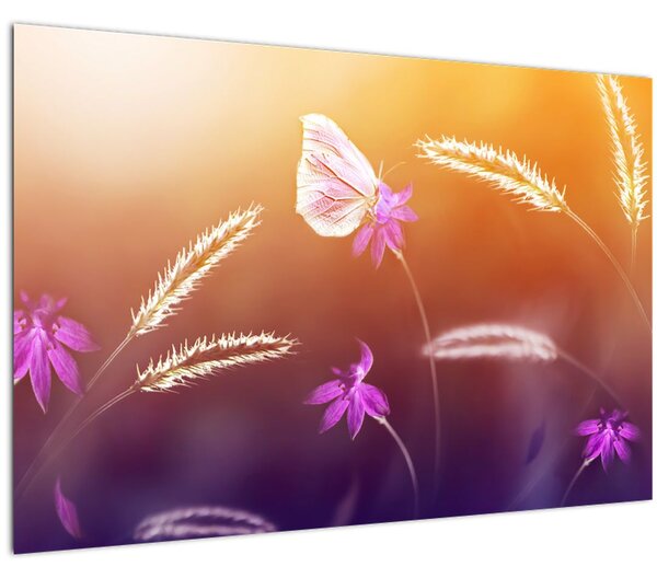 Kép - Rózsaszín pillangó (90x60 cm)