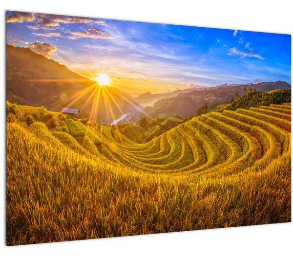 Kép - Rizs teraszok Vietnamban (90x60 cm)