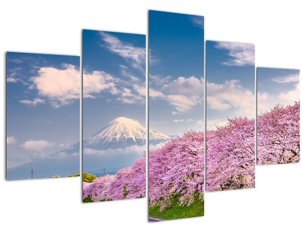 Kép - Japán tavaszi táj (150x105 cm)