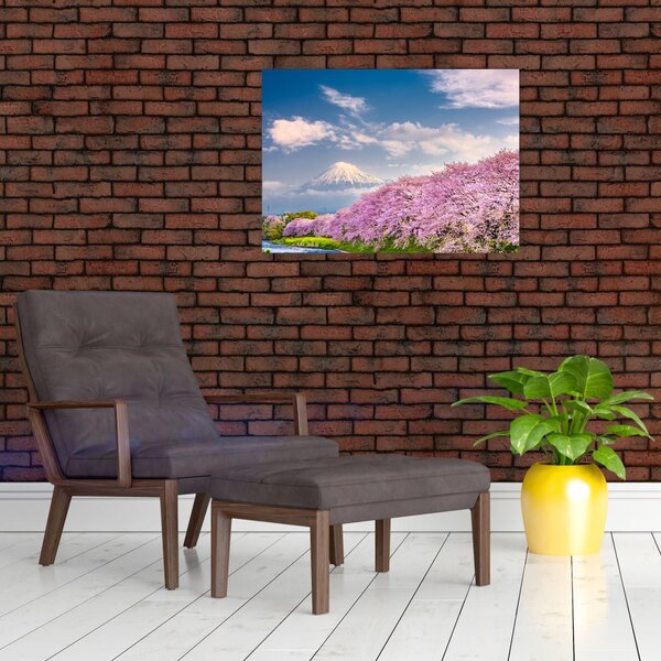 Kép - Japán tavaszi táj (70x50 cm)