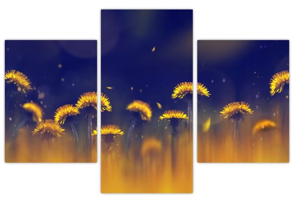 Kép - Pitypang (90x60 cm)