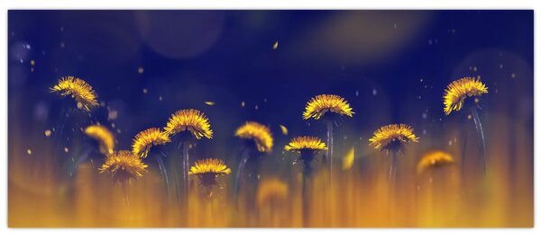 Kép - Pitypang (120x50 cm)