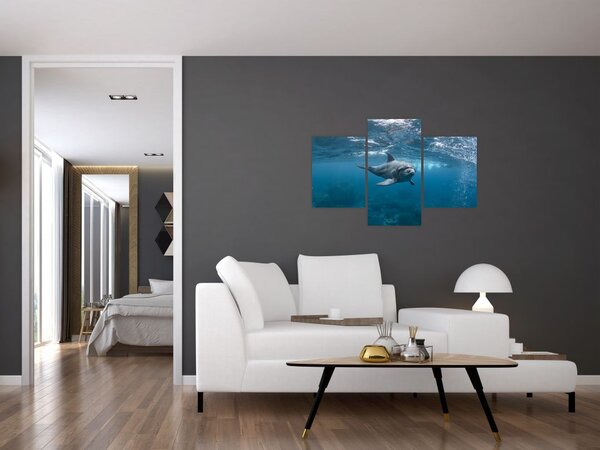 Kép - Delfin a felszín alatt (90x60 cm)