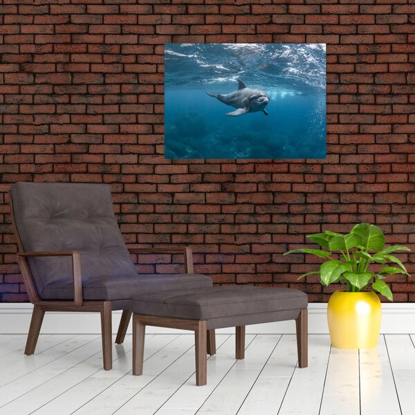 Kép - Delfin a felszín alatt (70x50 cm)