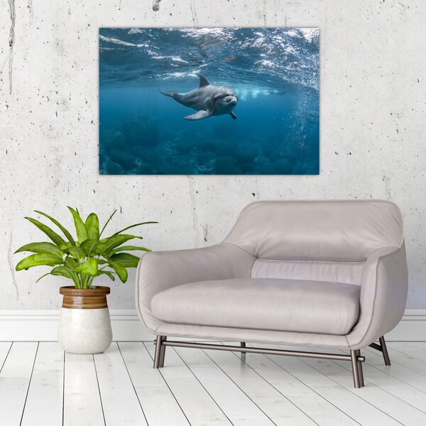 Kép - Delfin a felszín alatt (90x60 cm)