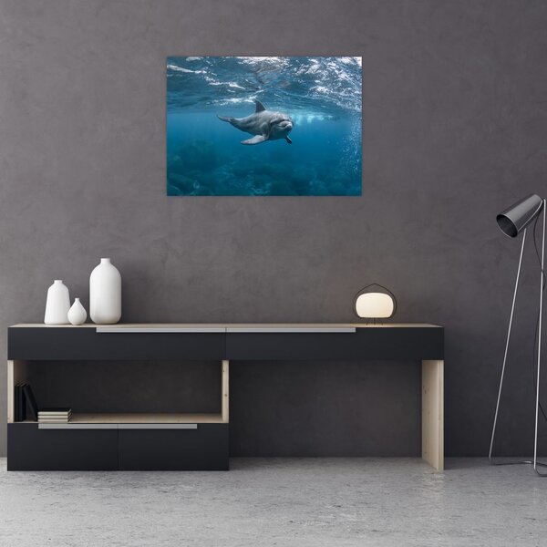 Kép - Delfin a felszín alatt (70x50 cm)