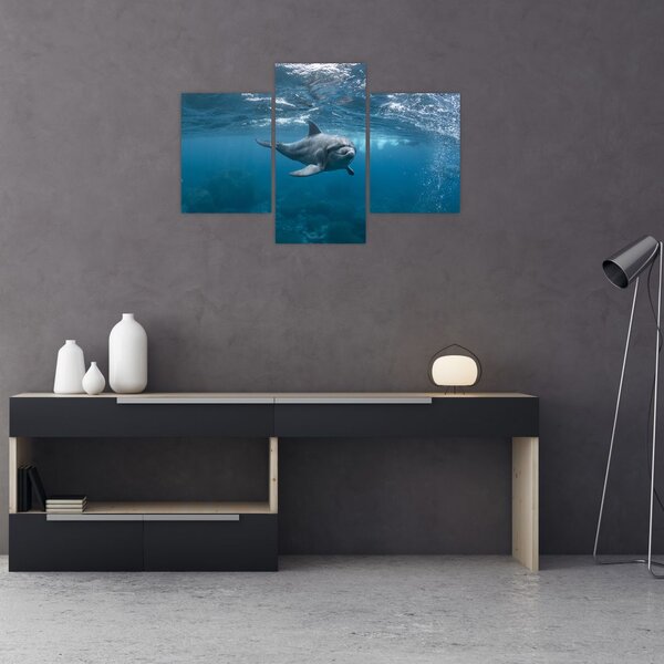 Kép - Delfin a felszín alatt (90x60 cm)