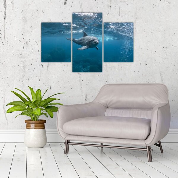 Kép - Delfin a felszín alatt (90x60 cm)