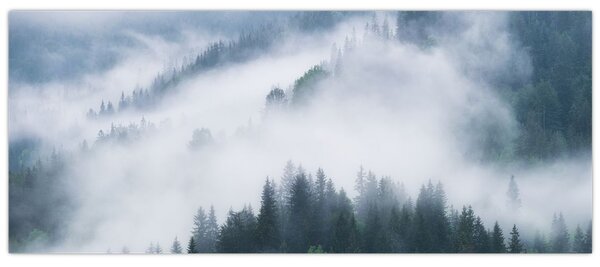 Kép - Fák a ködben (120x50 cm)