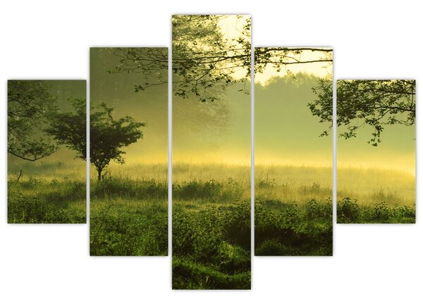 Kép - Ébredő erdő (150x105 cm)