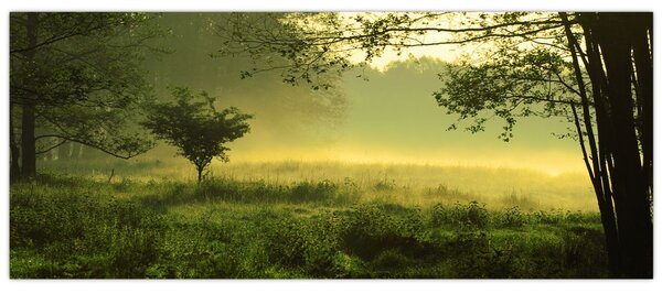 Kép - Ébredő erdő (120x50 cm)