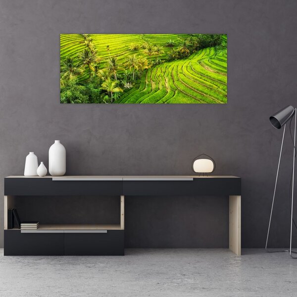 Kép - Rizs teraszok (120x50 cm)