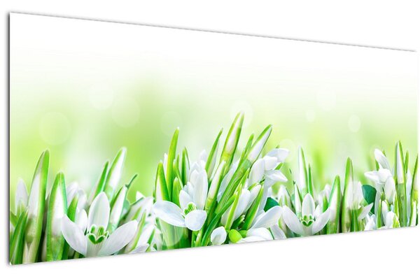 Kép - Hóvirág (120x50 cm)