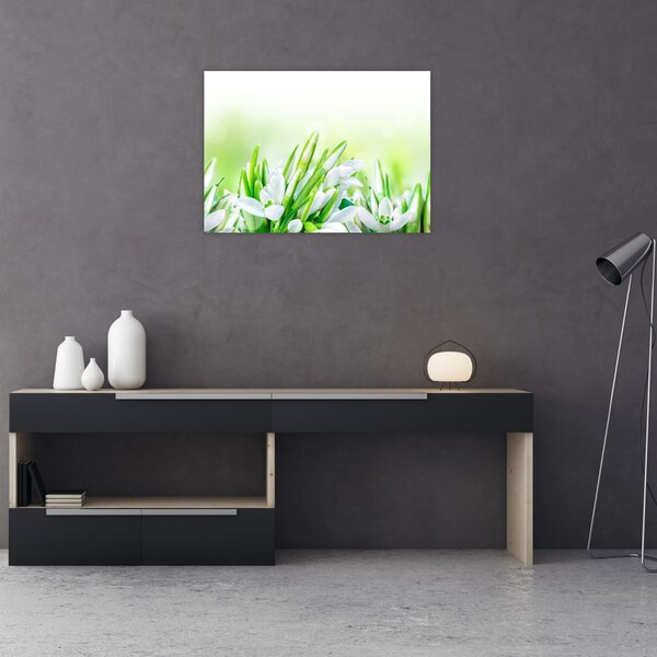 Kép - Hóvirág (70x50 cm)