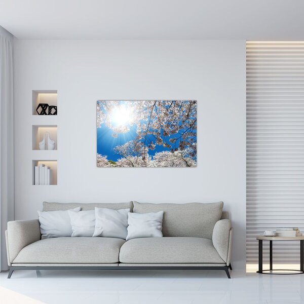 Kép - Cseresznyevirág (90x60 cm)